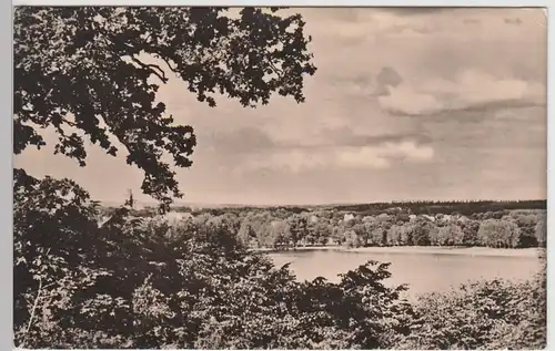 (89091) Foto AK Neubrandenburg, Blick von Belvedere 1957