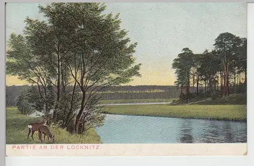 (84262) AK Partie an der Löcknitz, vor 1945