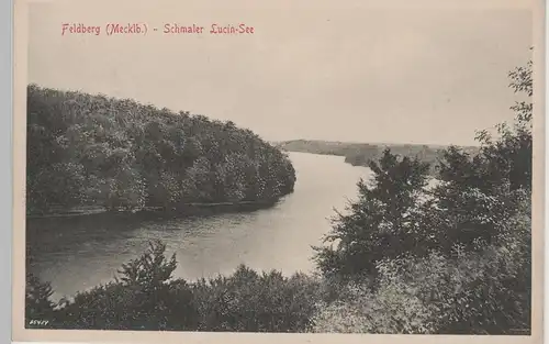 (80856) AK Feldberg in Mecklenburg, Schmaler Lucin-See, vor 1920