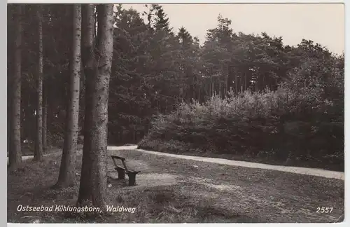 (52559) Foto AK Ostseebad Kühlungsborn, Waldweg, vor 1945