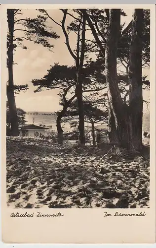 (45957) Foto AK Ostseebad Zinnowitz, Im Dünenwald, 1937