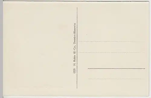 (4177) AK Müritz, Ostseebad, Birkenallee, bis 1938