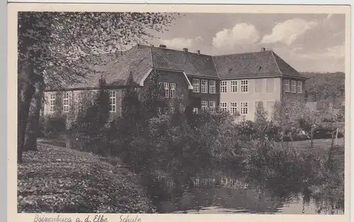 (109788) AK Boizenburg, Elbe, Schule, vor 1945