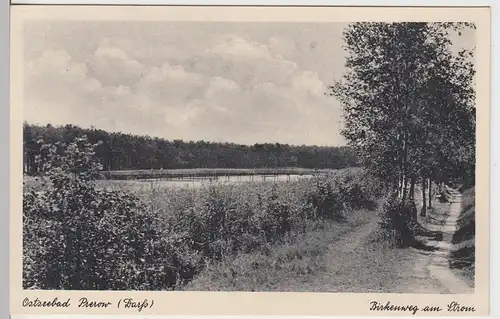 (101688) AK Ostseebad Prerow, Birkenweg am Strom, vor 1945