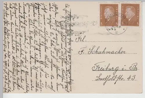 (81883) AK Mannheim, Partie im Friedrichspark m. Sternwarte, 1933