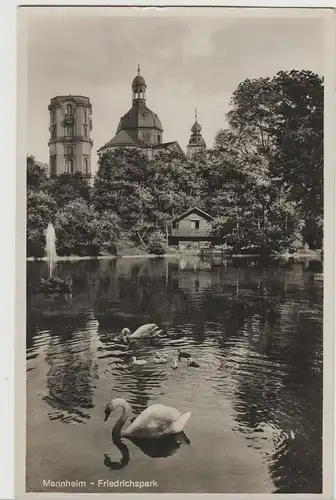 (73307) Foto AK Mannheim, Friedrichspark, 1931