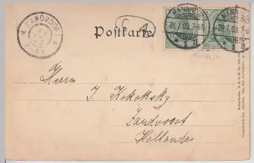 (113430) AK Mannheim, Schloss, Reliefkarte 1903