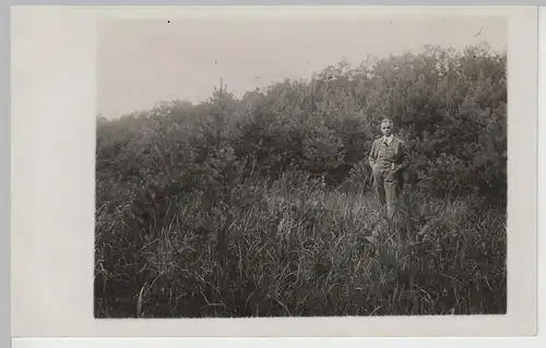 (73863) orig. Foto junger Mann vor Kiefernwäldchen, Haugdsberg? 1925