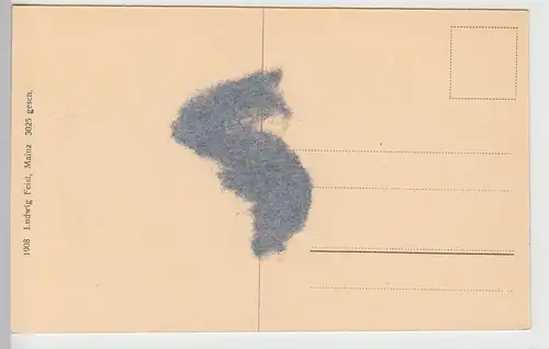 (111143) AK Mainz, Rheinpanorama 1908