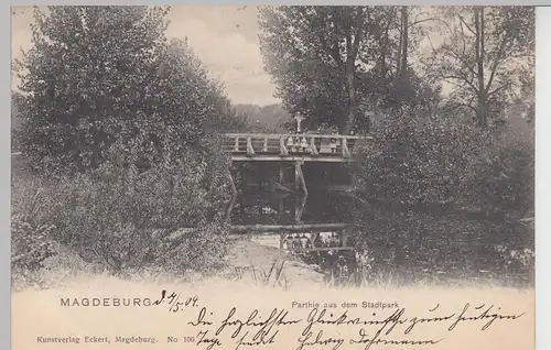 (99772) AK Magdeburg, Stadtpark, Brücke 1904