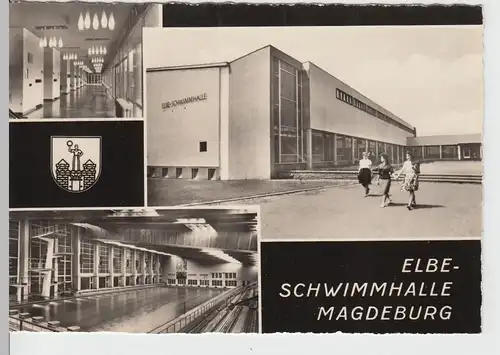 (86698) Foto AK Magdeburg, Mehrbildkarte Elbe-Schwimmhalle 1966