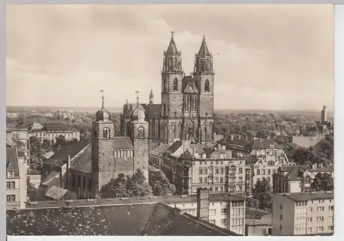 (86697) Foto AK Magdeburg, Dom und St. Sebastiankirche 1966