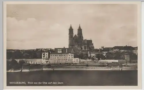 (70622) Foto AK Magdeburg, Blick von der Elbe auf den Dom, vor 1945
