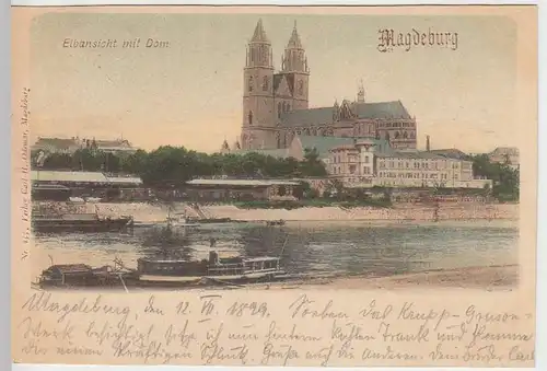 (31417) AK Magdeburg, Elbansicht mit Dom, 1899