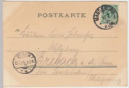 (31417) AK Magdeburg, Elbansicht mit Dom, 1899