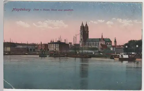(114143) AK Magdeburg, Dom vom Roten Horn gesehen, vor 1945