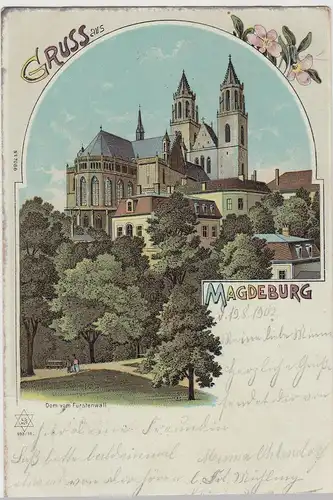 (113581) Künstler AK Gruß aus Magdeburg, Dom vom Fürstenwall 1902