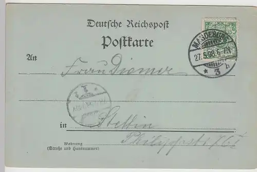 (113398) AK Gruß aus Magdeburg, Alter Markt, Dom, Altes Rathaus 1898