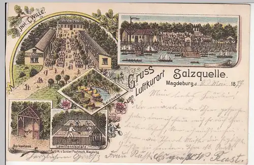 (109675) AK Gruß vom Luftkurort Salzquelle Magdeburg, Litho., Borkenhau