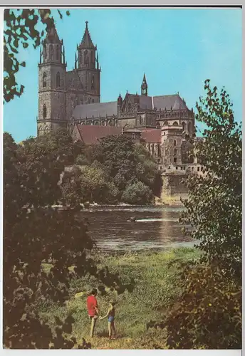 (102116) AK Magdeburg, Dom 1976