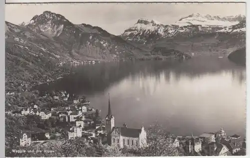 (6114) Foto AK Weggis, Vierwaldstättersee, Panorama, Alpen, nach 1945
