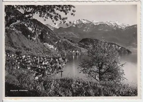 (14732) Foto AK Vitznau, Luzern, Vierwaldstättersee, Alpen