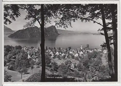 (14667) Foto AK Vitznau, Luzern, Panorama, Bürgenstock, nach 1945