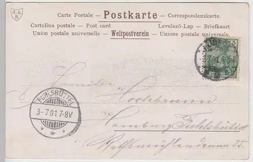 (109765) AK Lübeck, Untertrave, Kirchen, Passepartout 1901