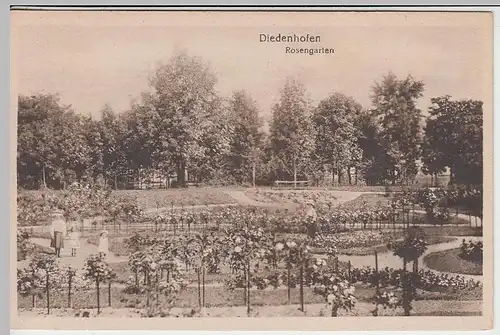 (40584) AK Diedenhofen, Thionville, Rosengarten 1910er