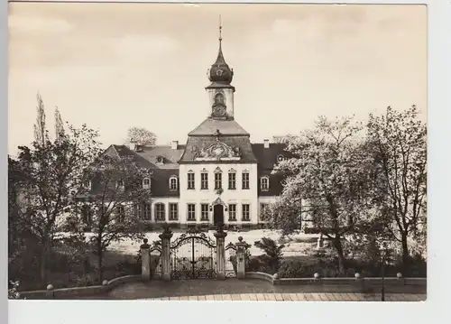 (112310) Foto AK Leipzig, Gohliser Schlösschen, DDR