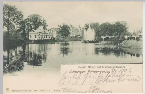 (104782) AK Leipzig, Palmengarten, Großer Weiher m. Leuchtspringbrunnen, 1902