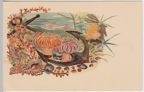(23854) Künstler AK Anker, Seeanemonen, Fisch, Muscheln, bis 1905