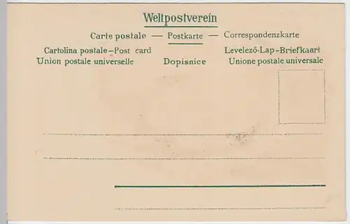 (23854) Künstler AK Anker, Seeanemonen, Fisch, Muscheln, bis 1905