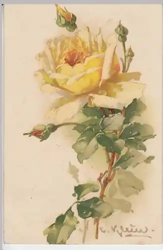 (22846) Künstler AK Gelbe Rose 1909