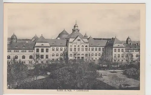 (101782) AK Köln, Universität, vor 1945