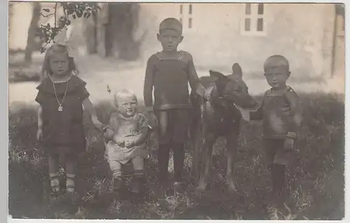 (81036) orig. Foto Kleine Kinder mit Schäferhund vorm Haus, vor 1945
