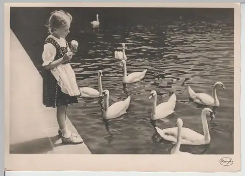 (75308) Foto AK Mädchen im Kleid füttert Schwäne, vor 1945