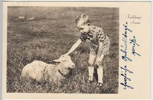 (43954) Foto AK Junge streichelt Schaf, Frühlingssonne 1943