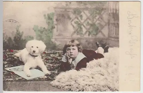 (27484) AK Junge mit Hund auf Teppich liegend 1902