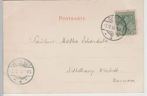 (78074) AK Kassel, Partie an der Aue, 1900