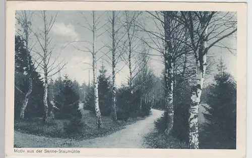 (97047) AK Paderborn-Sennelager, Staumühle 1916