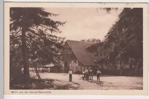 (97046) AK Paderborn-Sennelager, Staumühle 1916