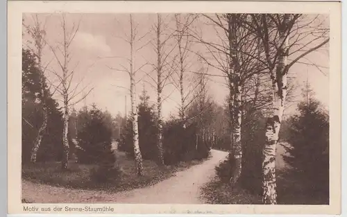 (97044) AK Paderborn-Sennelager, Staumühle 1916