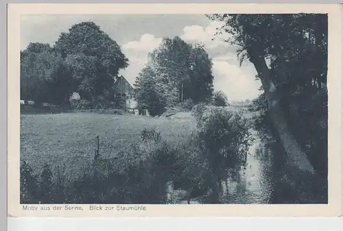 (97036) AK Paderborn-Sennelager, Staumühle 1916