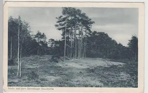 (97017) AK Sennelager, Truppenübungsplatz Senne, Staumühle 1916