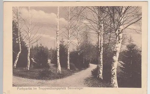 (97008) AK Sennelager, Truppenübungsplatz Senne, Parkpartie 1915