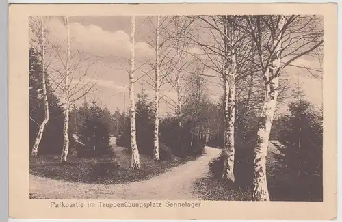 (97007) AK Sennelager, Truppenübungsplatz Senne, Parkpartie 1915