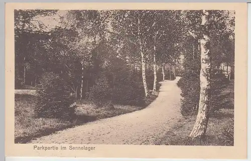 (97006) AK Sennelager, Truppenübungsplatz Senne, Parkpartie 1915