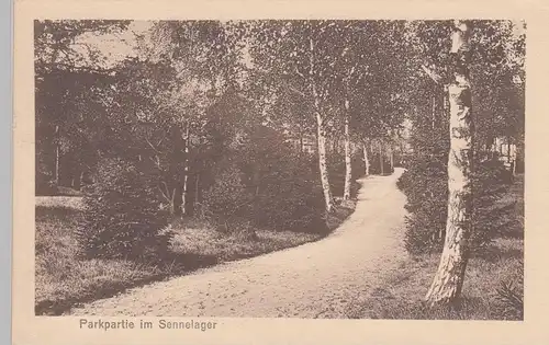 (97005) AK Sennelager, Truppenübungsplatz Senne, Parkpartie 1915
