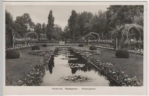 (65885) Foto AK Karlsruhe, Stadtgarten, Rosengarten, 1936
